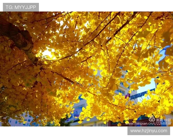 生物企业家引领创新时代推动科技突破与可持续发展的双重使命